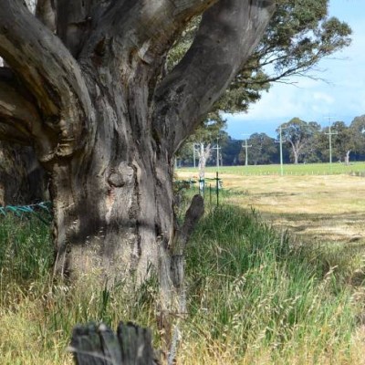 Fantasy meets reality: Western Highway Buangor to&nbsp;Ararat￼