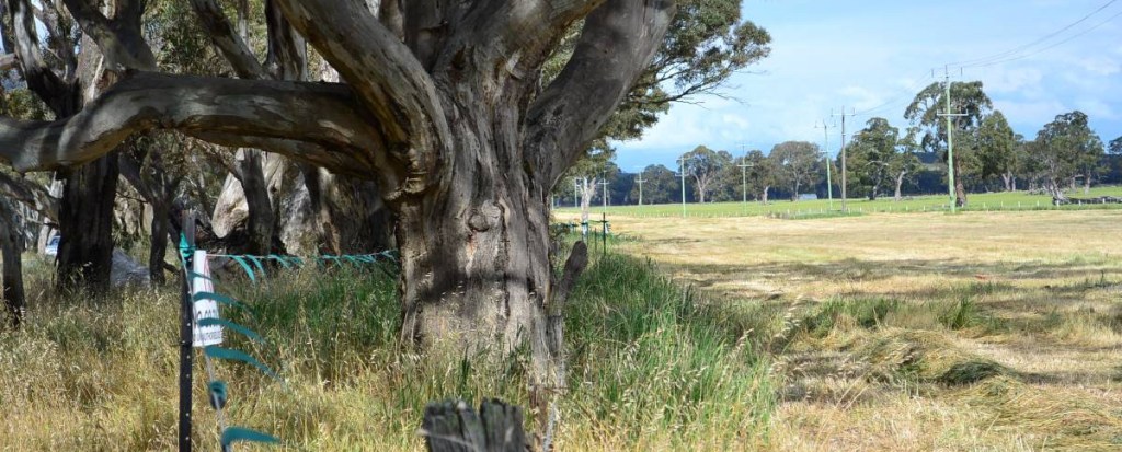 Fantasy meets reality: Western Highway Buangor to&nbsp;Ararat￼