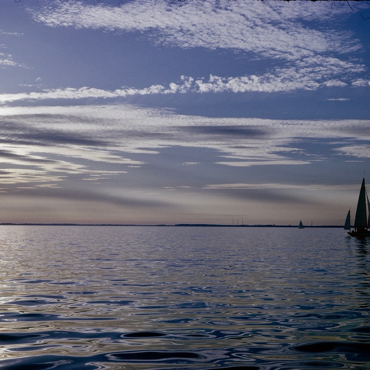 My father’s journey: a legacy of photos and&nbsp;stories